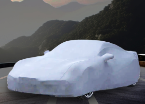 Car Covers for Renegade Veracruz 2023 30VRM - Basic Indoor Edition