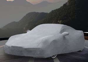 Car Covers for Renegade Veracruz 2023 30VRM - Ultimate Standard Edition